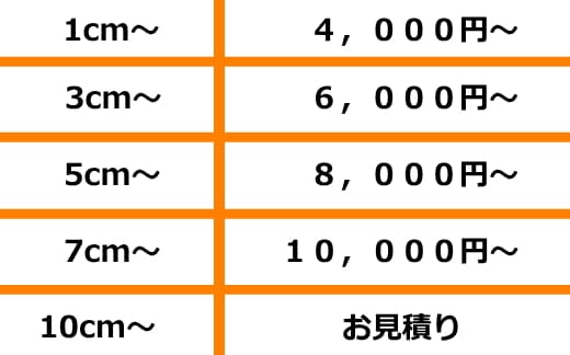 デントリペアの料金一覧